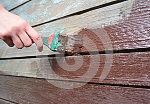 Worker hand with brush painting and repair wooden wall. Paint Old Wooden Surface.