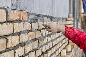 Worker hand spread a mortar bed