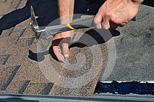 Worker hands installing bitumen roof shingles. Worker Hammer in Nails on the Roof. Roofer is hammering a Nail in the Roof Shingles