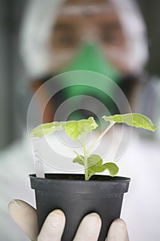 Worker Holding Potted Plant