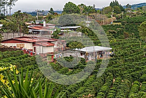 Worker houses on coffee farm in Alajuela Province, Costa Rica