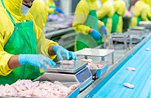 Worker in hygene uiform weighing fresh raw chicken meat photo