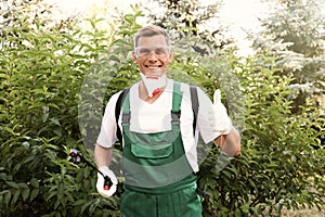 Worker with insecticide sprayer near green bush outdoors. Pest control