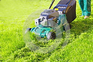 Worker with lawnmower mows green grass.