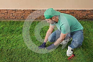 Worker laying grass sod at backyard