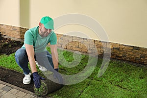 Worker laying grass sod on ground at backyard, space for text