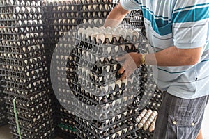 Worker life sort egg panel in wholesale market