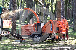 Worker looking upward in a woodland area with working wood chipping machine