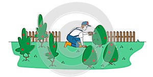 Worker Male Character Trimming Bush in Garden. Man Cut Hedge in Orchard Doing Gardener Works Prune Shrub with Scissors