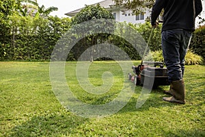 A worker man cutting grass in green yard with electric lawnmower on sunlight