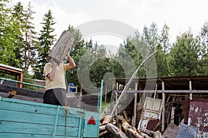 Worker man unload tree logs firewood from trailer