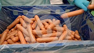 Worker at a meat processing plant producing sausages. Packing sausages in a box, close-up. Sausages in the production