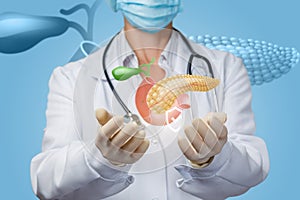Worker of medicine shows pancreas