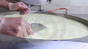 A worker mixing pieces of a soft cheese in the vat with a big iron plate at the production factory