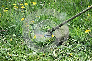 Worker mowing grass with a trimming machine.