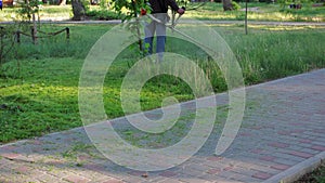 Worker mowing tall grass with electric or petrol lawn trimmer in city park or backyard. Gardening care tools and equipment.