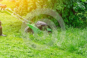 Worker mows the grass on the lawn in the park gasoline lawn mower