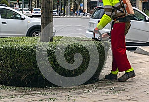 A worker mows green spaces in the city using a tool