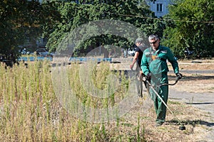 Worker mows tall weeds with a gasoline scythe. Gardening care tools and equipment. Man gardener mowing weeds with electric or