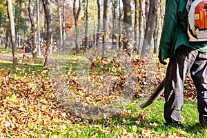 Worker operating heavy duty leaf blower in city park. Removing fallen leaves in autumn. Leaves swirling up. Foliage