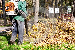 Worker operating heavy duty leaf blower in city park. Removing fallen leaves in autumn. Leaves swirling up. Foliage