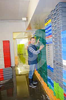 Worker organising stacks plastic containers