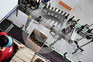 Worker packing bottles of wine