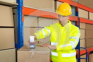 Worker Packing Cardboard Box