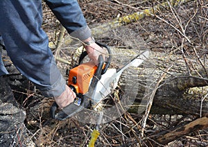 Worker with Petrol Chainsaw in Forest. Tree Cutting Saw. Man with Gasoline Petrol Chain Saw Tree Cutting Outdoor.