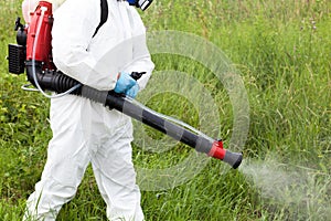 Worker in protective workwear spraying herbicide on ragweed. Hay fever concept.