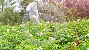 Worker in protective workwear spraying herbicide on ragweed. Non-organic vegetables. Pest control worker spraying insecticides or