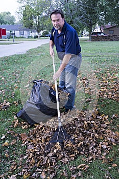 Worker Raking Leaves Into A Large Pile