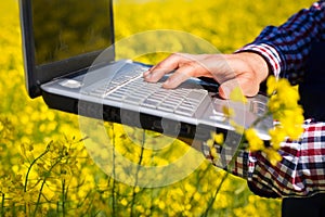 Worker in a rapeseed field doing inspection for biodiesel production