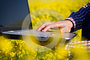 Worker in a rapeseed field doing inspection for biodiesel production