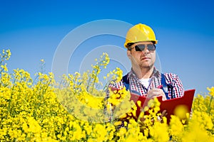 Worker in a rapeseed field doing inspection for biodiesel production
