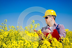 Worker in a rapeseed field doing inspection for biodiesel production