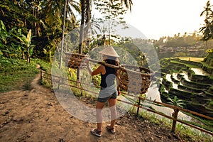 Worker on rice field carrying around. Agricultural details on rice terraces