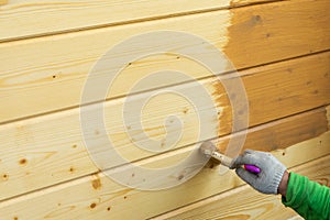 A worker`s hand in a glove, painting a wooden house. Covering a wooden house with a protective compound