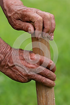 WorkerÃÂ´s hands
