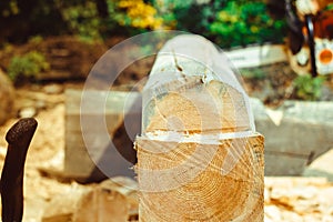 Worker sawing a chainsaw tree