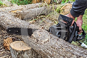 Worker is sawing a wooden log with electric chain saw