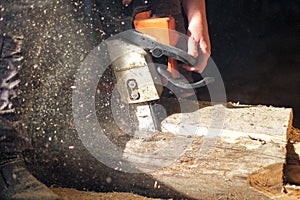 The worker saws off a log with a chainsaw
