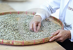 Worker select coffee berries seed broken by hand