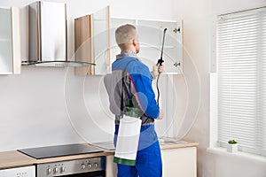 Worker Spraying Insecticide On Shelf