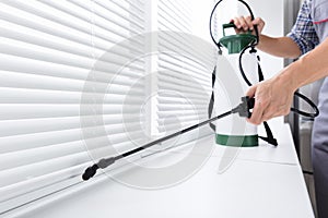 Worker Spraying Insecticide On Windowsill