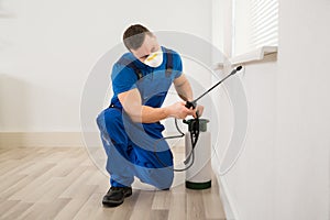 Worker Spraying Pesticide On Window Corner