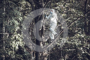 A worker sprays pesticides on trees outdoors. Tree pest control