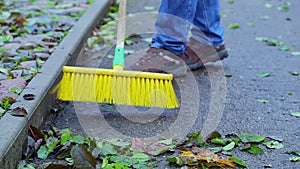 Worker sweeps leaves