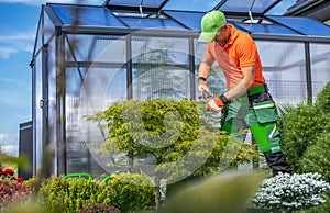 Worker Taking Care of Back Yard Garden Plants Next To a Greenhouse