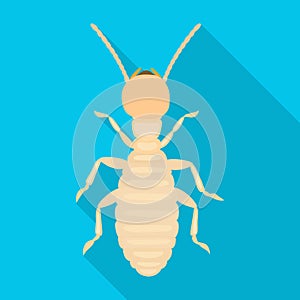 Worker termite vector icon.Flat vector icon isolated on white background worker termite.